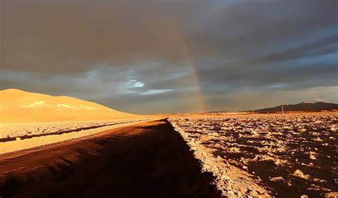 Atacama Deserts Worst Rain In 500 Years Leaves Future Of Bacteria In