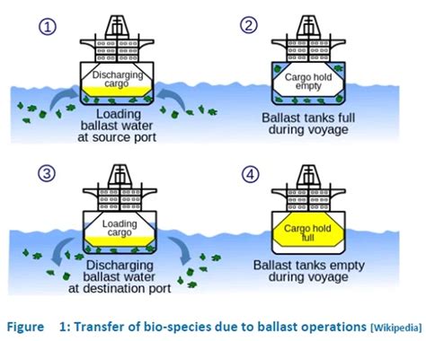 Ballast Water Treatment Management System Gwship