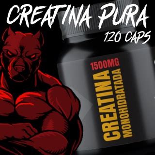 Creatina Pura Monohidratada Caps Mg Concentrada Shopee Brasil