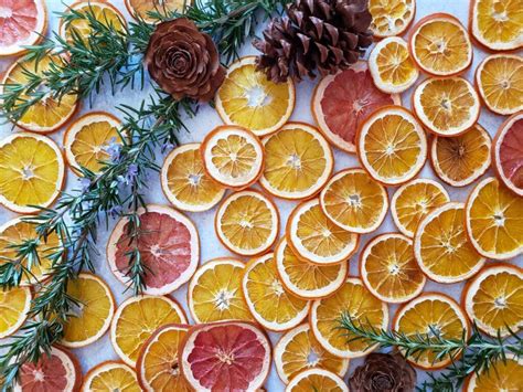 How To Dry Orange Slices For Holiday Decorations Oven Or Dehydrator ~ Homestead And Chill