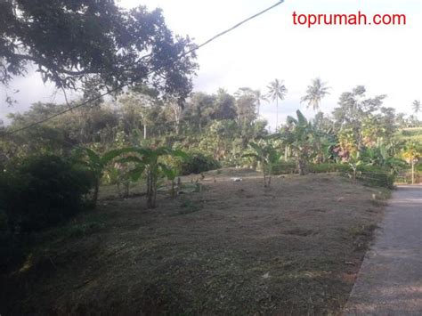 Dijual Tanah Siap Bangun Di Bongan Tabanan Bali Tabanan Kab