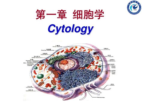 动物组织胚胎学 细胞学word文档在线阅读与下载免费文档