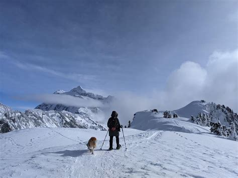 We went snowshoeing last week to Artist Point, Mt. Baker, WA, in our ...