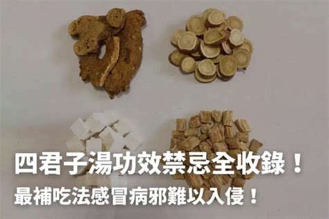 四君子湯功效補氣又防疫！但有4點使用禁忌要注意！ 健康010