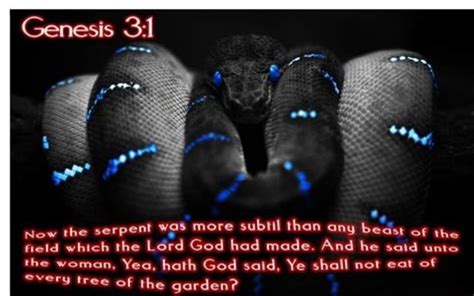 Genesis Now The Serpent Was More Subtil Than Any Beast Of The Field