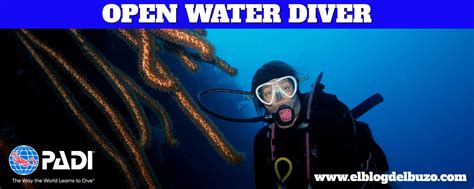 Curso Padi Open Water En Madrid El Blog Del Buzo