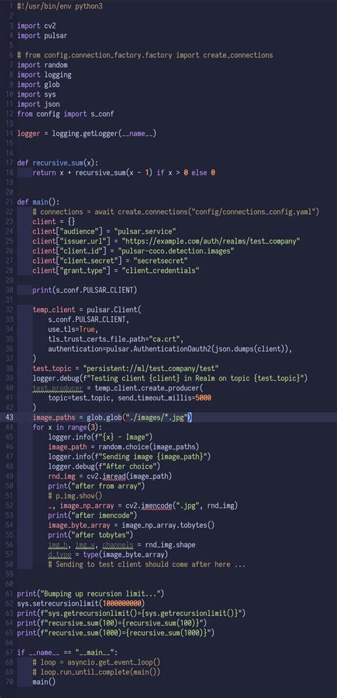 Python Client Segmentation Fault Core Dumped Or Free Invalid