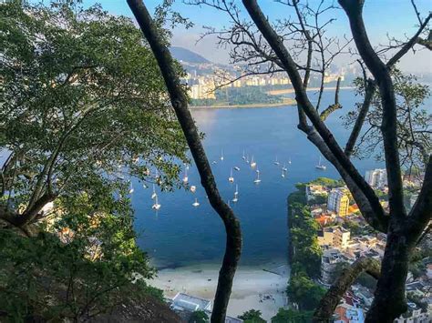 Trilha Morro da Urca o que você precisa saber antes de ir