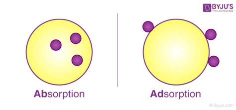 Adsorption And Absorption