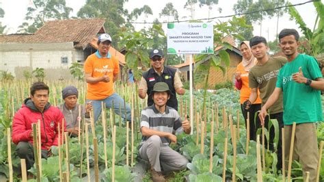 Petani Pengalengan Dapat Bibit Buncis Kenya Dari Program Smartfarm