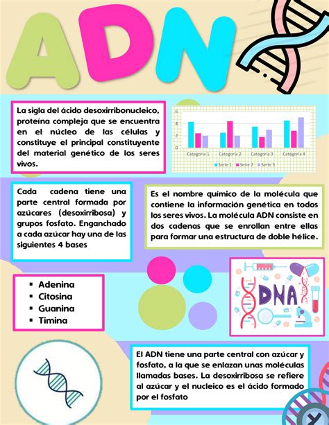 Curiosidades Sobre El Adn Infografia Infographic Health Educa Porn