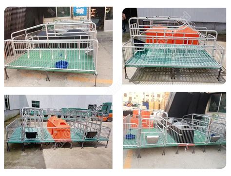 Sow Positioning Bar In Poultry Farming Equipment Product High Quality