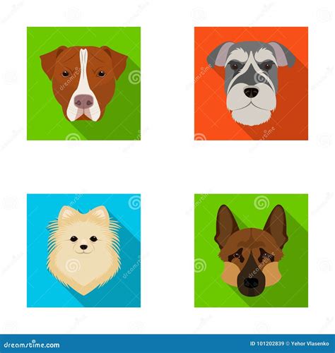 Muzzle Of Different Breeds Of Dogs.Dog Breed Stafford, Spitz