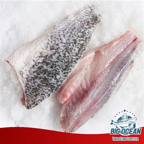 Jual Fillet Kakap Putih Baramundi 500gr Shopee Indonesia