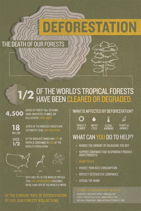 6 Awesome Biodiversity Infographics Saving Nature