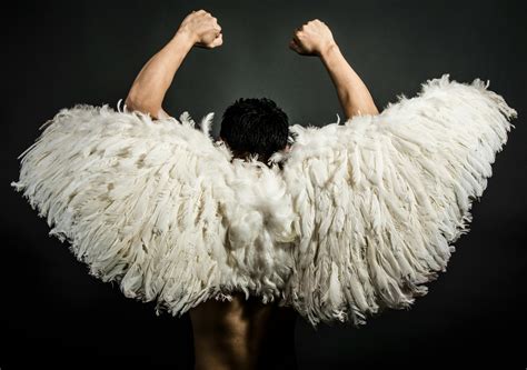 Angel Wings Photos, Download The BEST Free Angel Wings Stock Photos ...