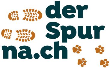 Der Spur Nach