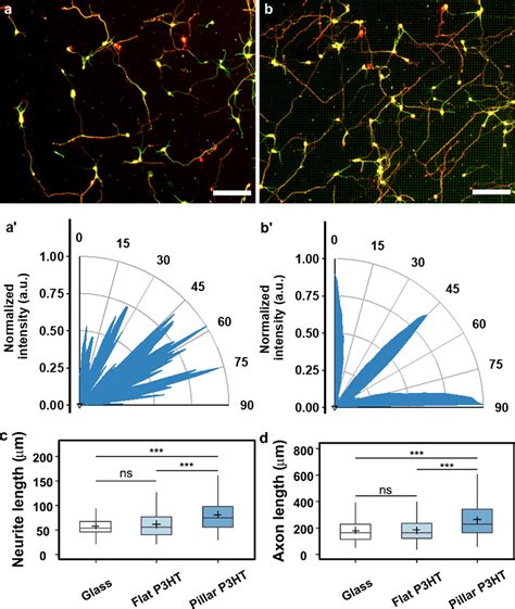 High Aspect Ratio And Light Sensitive Micropillars Based On A