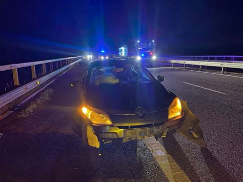 ACCIDENT GRAV PE AUTOSTRADA A3 PROVOCAT DE O VACĂ UNUL DINTRE