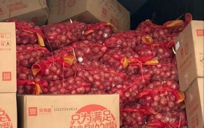 BOC Seizes P171 M Smuggled Onions Agri Products In Manila Port