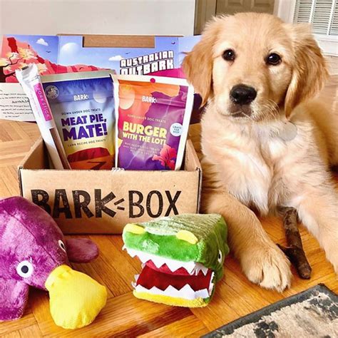 BarkBox - The Monthly Dog Toy and Treat Box