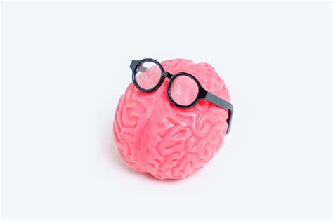 Human Brain Model Wearing Glasses Isolated On Grey Background Stock