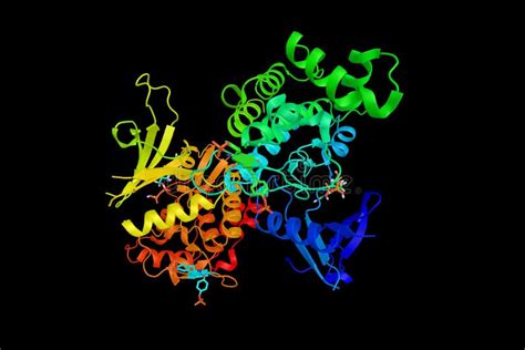 Mapa Del Receptor De Tirosina Quinasa