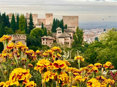 Alhambra: Guided Tour with Fast-Track Entry | GetYourGuide