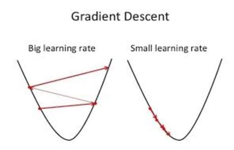 Gradient Descent In Machine Learning Topcoder