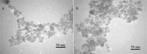 Tem Micrographs Of Naked A And Aptes Coated B Magnetite