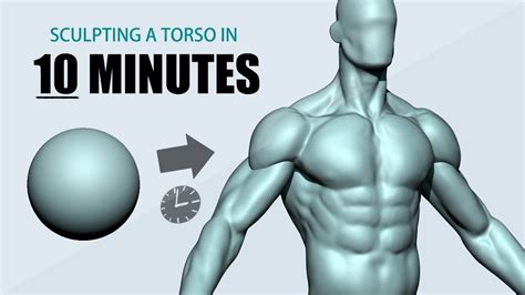 Sculpting A Torso Using Zbrush In Minutes Youtube