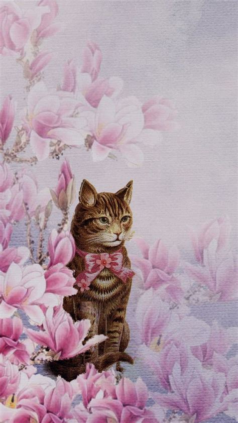 Cat And Flowers Wallpapers Wallpaper Cave