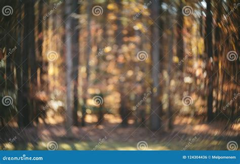 Blurred Bright Abstract Autumn Forest Stock Photo - Image of texture ...