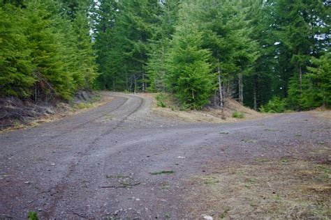 Larch Mountain-Drift Creek-Larch Mountain Connector Road Junction - Hiking in Portland, Oregon ...