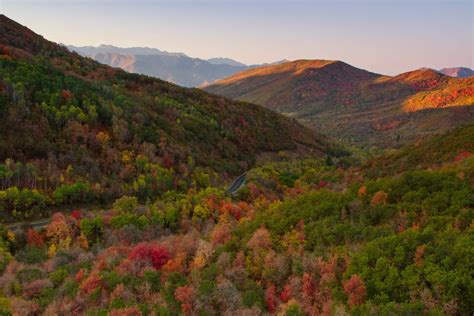 More Utah Fall Colors | Clint Losee Photography