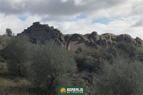 Volc N Del Teide En Tenerife Borealis On Trekking