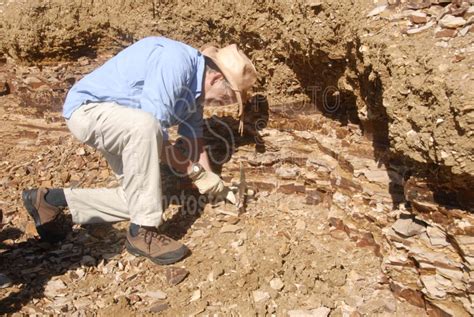 Photo of Digging for Fossils by Photo Stock Source people, Fossil ...