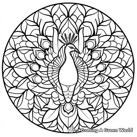 Peacock Mandala Coloring Pages - Free & Printable!