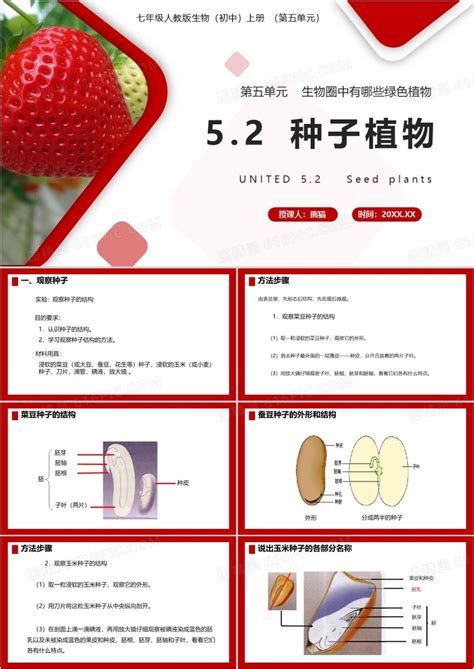 部编版七年级生物上册种子植物课件ppt模板免费下载编号1mdcrx5d1图精灵