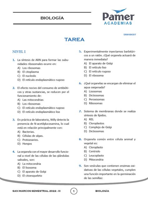 BiologÍa S4t Citología Ii Citoplasma Y Núcleo Pdf Biología Celular Citoplasma