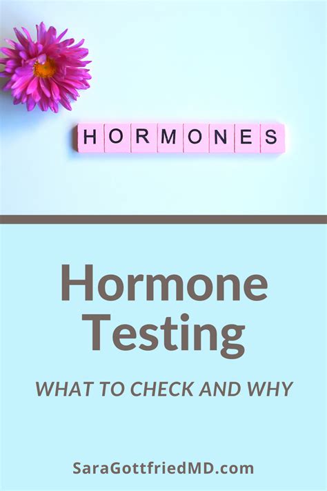 Do You Know What Hormones You Need To Test And Why Artofit