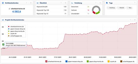 Suchmaschinenplatzierung einfach und verständlich erklärt