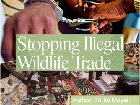 Solutions to illegal wildlife trade | PPTX