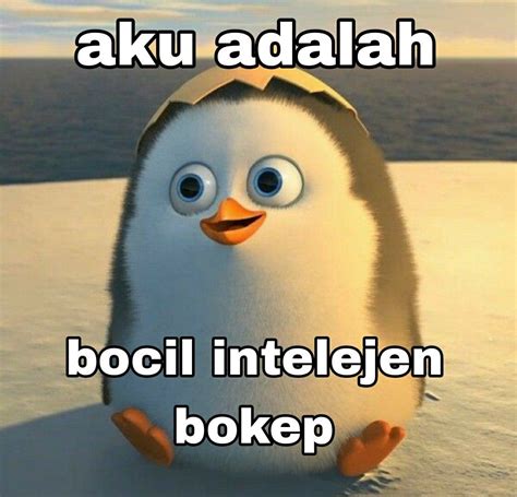 Meme Pinguin Indo Gambar Lucu Meme Komik Humor Lucu