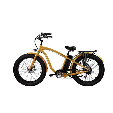 New Powerful Retro Style 20 Inch 750w 48v Fat Tire Electric Bike Ebike China Electric Bike And