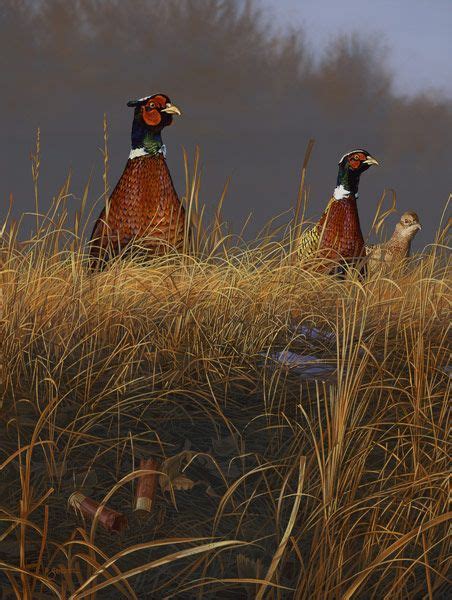 Decoys And Wildlife Gallery Wildlife Art Paintings Hunting Art