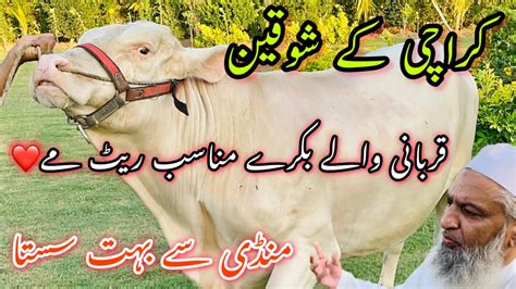 Karachi K Shoqeen Mandi Se Sasta Maal Munasib Rate Me Qurbani