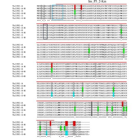 Protein Sequence Alignment Showing Conserved Domain And Sequence Download Scientific Diagram