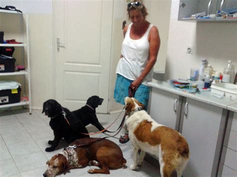 Veterinarska Ambulanta Vet Port Kotor