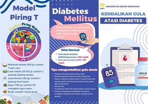 edukasi  konseling gizi  pasien diabetes mellitus beserta